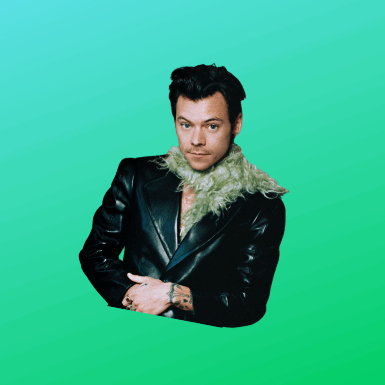 Harry Styles: Love on Tour