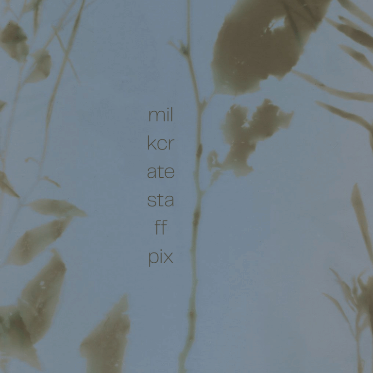 STAFF PIX 10/10: 2010S FOLK