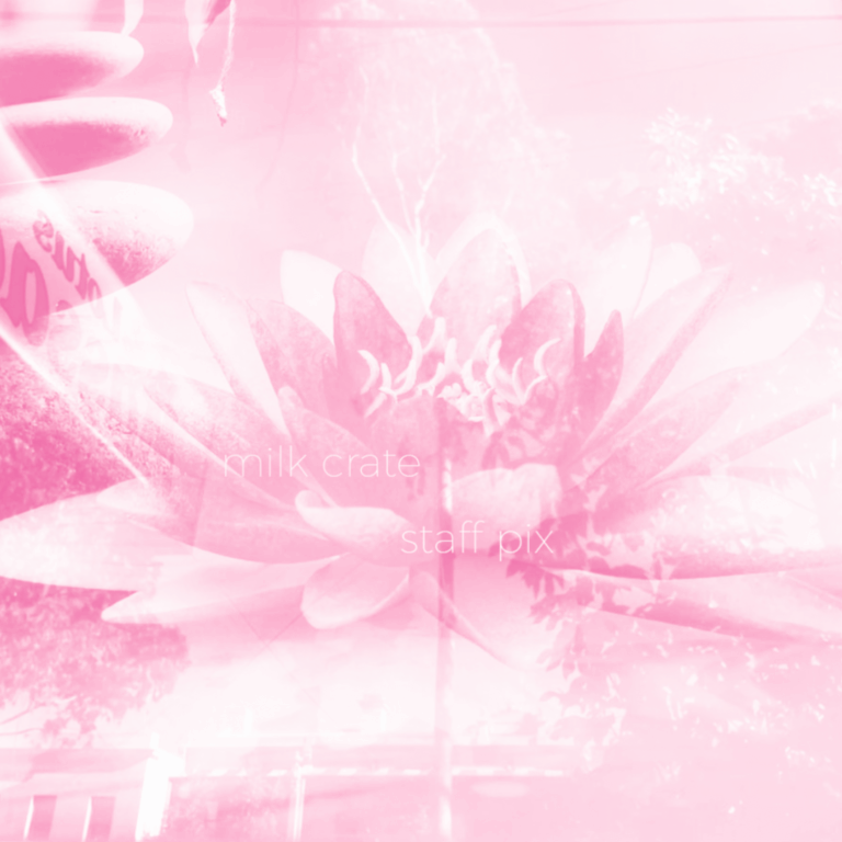 STAFF PIX 11/14: Calm