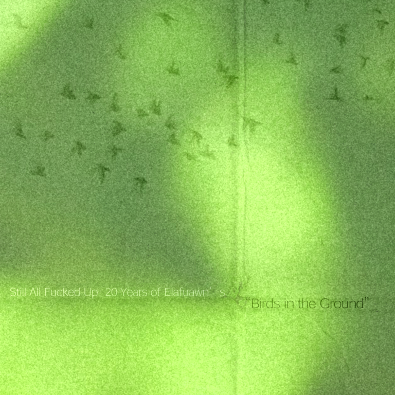 Still All Fucked Up: 20 Years of Eiafuawn’s Birds in the Ground