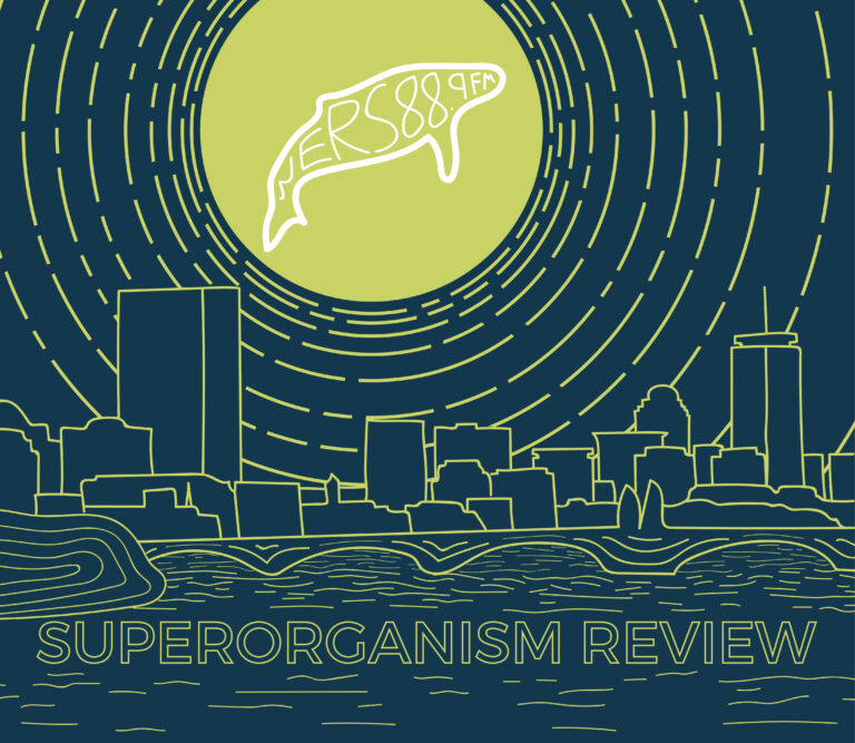 Divided by Country, United by Memes: Superorganism