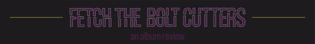 fiona apple album review - blog banner