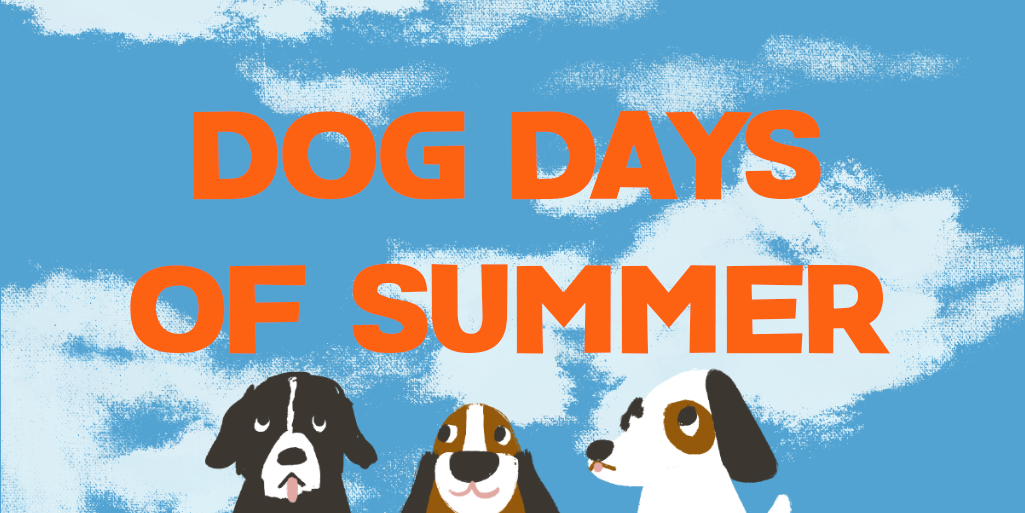 dog days of summer - twitter banner