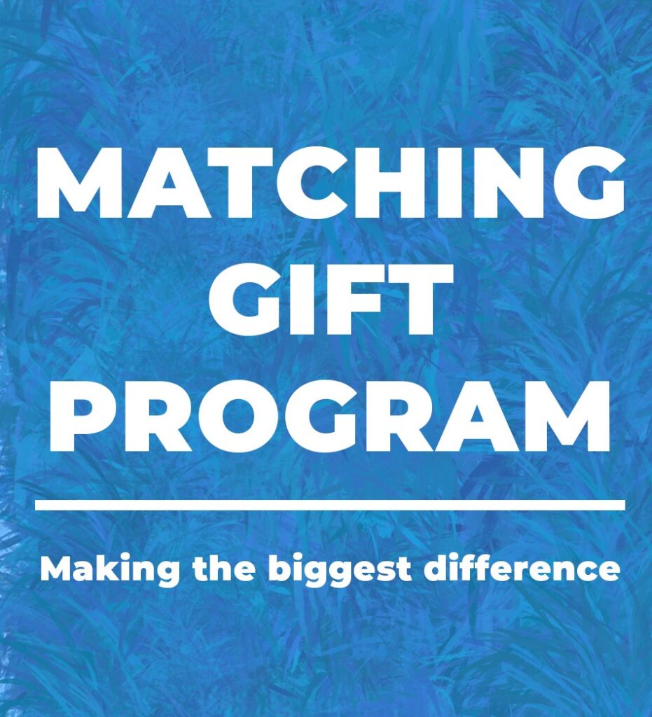 Matching Gift Image, for ways to give page Matching Gift Program