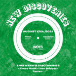 New Discoveries: Torres