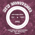 New Discoveries: Wet Leg, Pond, Mt. Joy