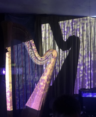Live Music Field Guide: DIY Music Spaces of Allston. Harp at Tourist Trap