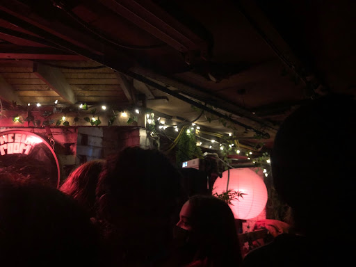 Live Music Field Guide: DIY Music Spaces of Allston. Shadowed figures in attendance of The Sunroom gathered around a glowing stage area. Vines and twinkle lights line the edge of a wooden ceiling.