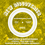 WERS 88.9FM New Discoveries - Mehro, Andrew Bird, Say She She