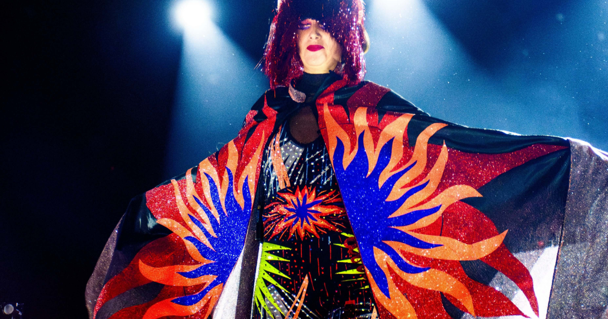 Show Review: Yeah Yeah Yeahs | Boston - Vimarsana News