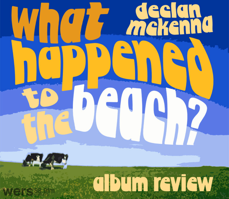 A pixelated drawing of two cows in a grassy field with blue skies behind them. Text above reads: What Happened to the Beach? Declan McKenna album review