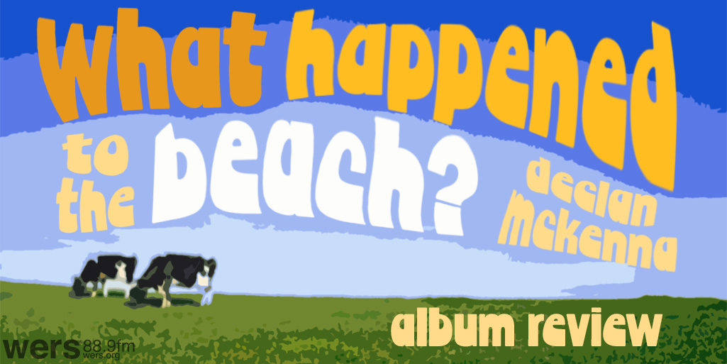 Album Review: Declan McKenna "What Happened to the Beach?" - Vimarsana News