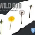Graphics that look like a grey backround white a stripe of ripped white paper overlayed in the middle. In the white part, there are dandelions in every stage of their lifecycle. Light grey text reads: Wild God, Nick Cave and the Bad Seeds. A light blue guitar pick in the bottom right corner reads: "WERS 88.9 FM Pick of the Week"