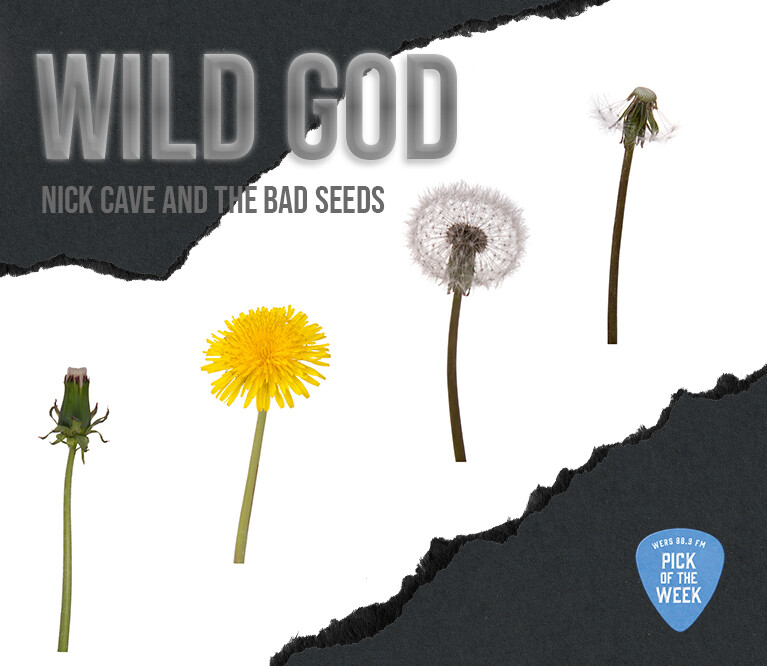 Graphics that look like a grey backround white a stripe of ripped white paper overlayed in the middle. In the white part, there are dandelions in every stage of their lifecycle. Light grey text reads: Wild God, Nick Cave and the Bad Seeds. A light blue guitar pick in the bottom right corner reads: 