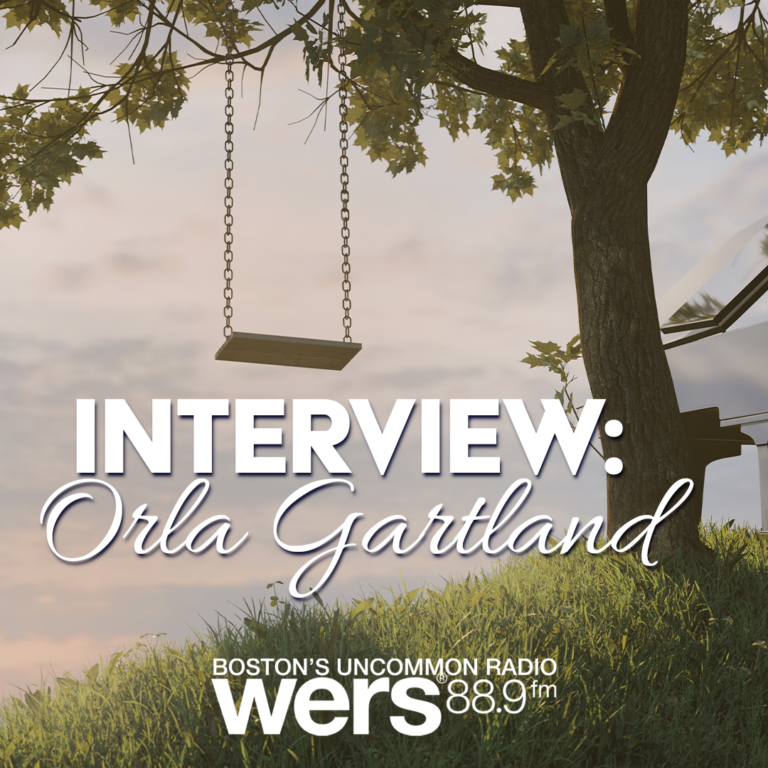 A swing hangs from a tree in a lush grass field. Text reads "Interview: Orla Gartland" over the image
