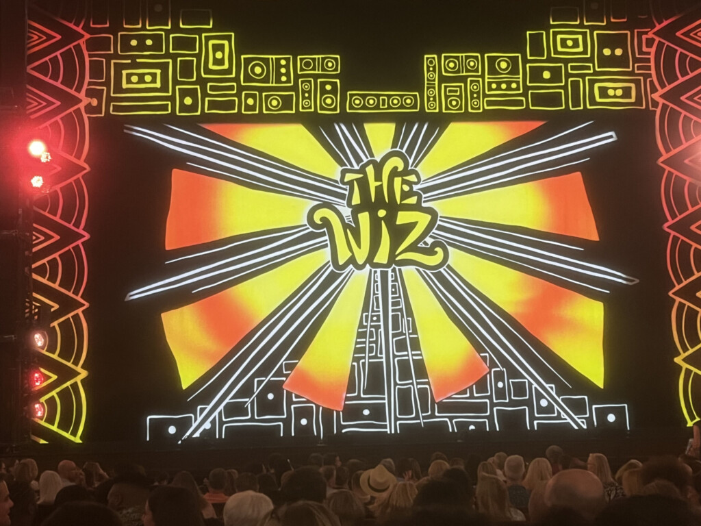 The Opera House Boston audience at The Wiz