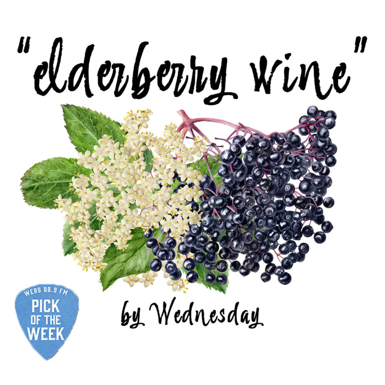 Pick of the Week: Wednesday “Elderberry Wine”