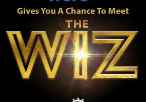 Meet The Wiz