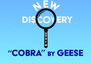 Graphic by Riley Vecchione